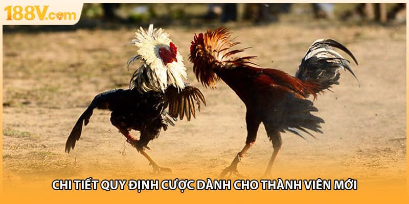 Chi tiết quy định cược dành cho thành viên mới