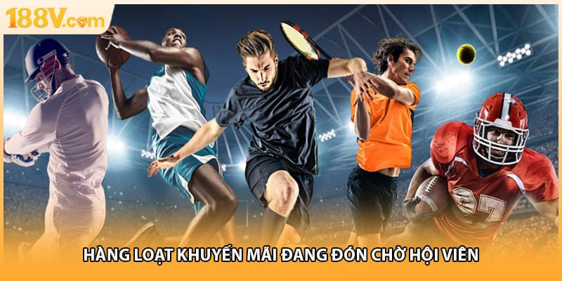 Hàng loạt khuyến mãi đang đón chờ hội viên