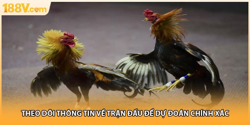 Theo dõi thông tin về trận đấu để dự đoán chính xác